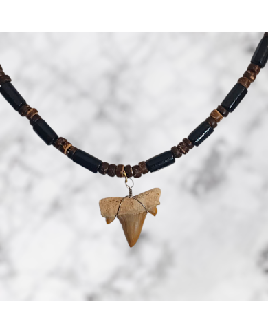 copy of Cretolamna Shark Tooth Necklace - PunkStyle limited collection