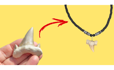 From the ground to the workshop: the journey of a fossil before it becomes a necklace