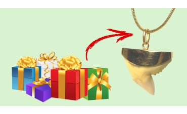 Gift ideas for fossil enthusiasts: the ultimate guide